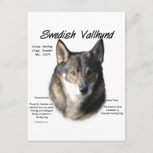 Geschichte des schwedischen Vallhund Postkarte