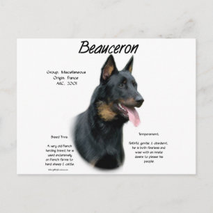 Geschichte von Beauceron; alles über Beauceron Postkarte
