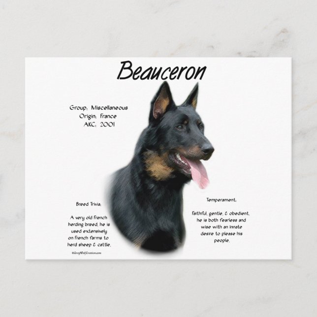 Geschichte von Beauceron; alles über Beauceron Postkarte (Vorderseite)
