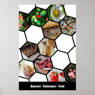 Geschichten-Collage Erdbeeren, Bestäuber & Ertrag Poster