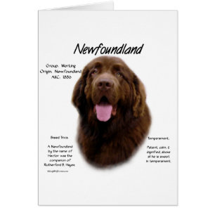 Geschichtsdesign in Neufundland (braun)