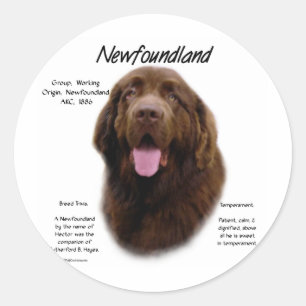 Geschichtsdesign in Neufundland (braun) Runder Aufkleber