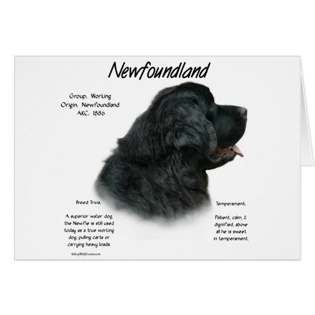 Geschichtsdesign in Neufundland (Schwarz) (Vorderseite (Horizontal))
