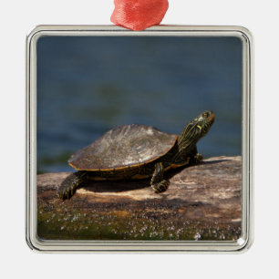 Geschilderte Schildkröte auf einem Baumstamm Ornament Aus Metall