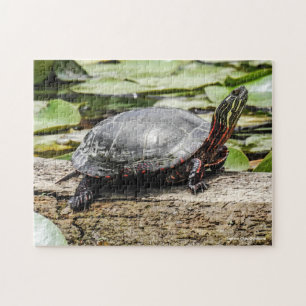 Geschildertes Schildkröten-Puzzle Puzzle