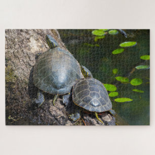 Geschildertes Schildkrötenpaar Puzzle
