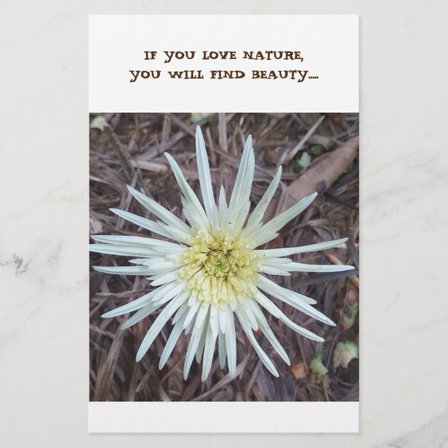 Geschirr Briefpapier (Vorderseite)