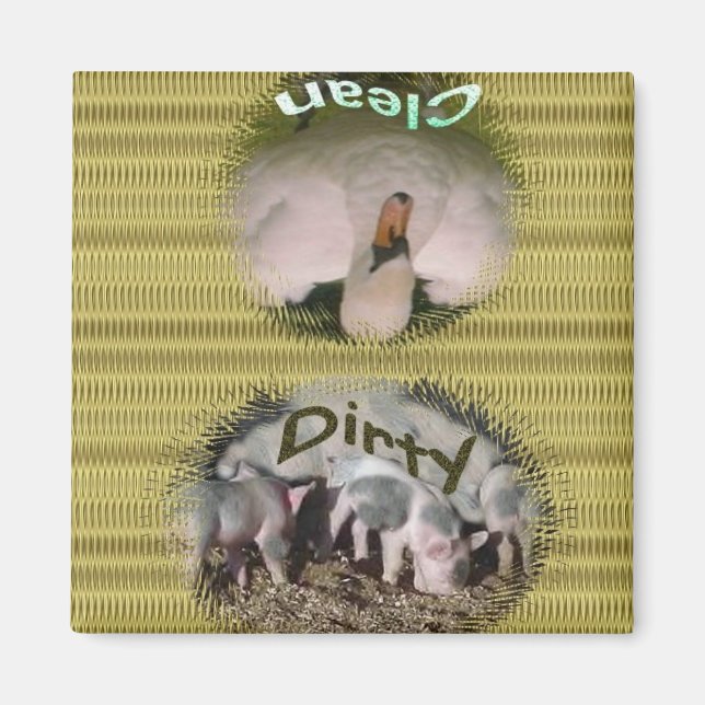 Geschirrspülmagazin Magnet (Vorne)