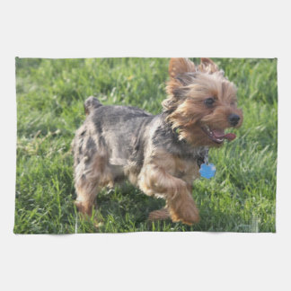 Geschirrtuch Yorks Terrier