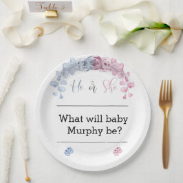 Geschlecht: Einladung, Er oder sie Pappteller