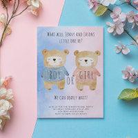 Geschlecht offenbart Bears Sternenfarbe Rosa blaue