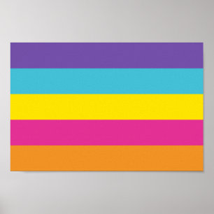 Geschlechter nichtbinärer Stolz Poster