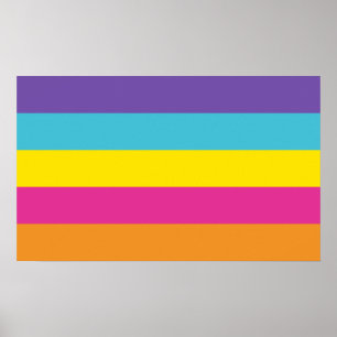 Geschlechter nichtbinärer Stolz Poster