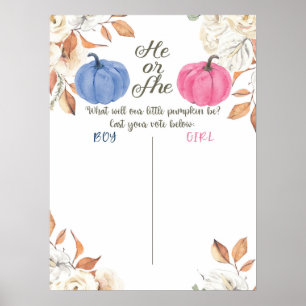 Geschlechterenthüllung Blush Rosa und Marine Absti Poster