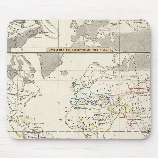 Geschlechterverteilung Mousepad (Vorne)