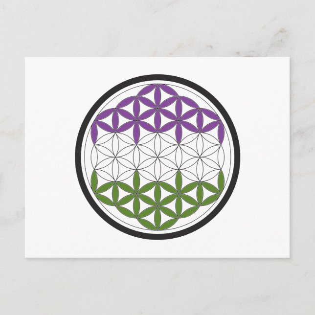 GeschlechtQueer-heilige Geometrie Postkarte (Vorderseite)