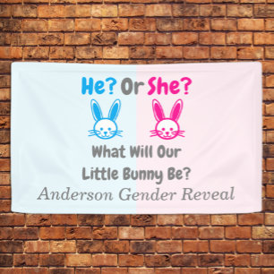 Geschlechtsenthüllung vom kleinen Hasen Banner