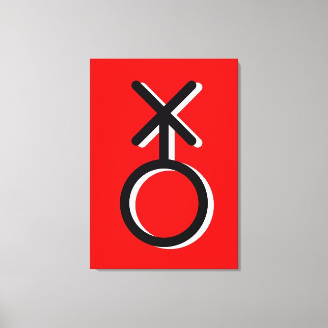 Geschlechtsidentität Leinwanddruck (Vorderseite)