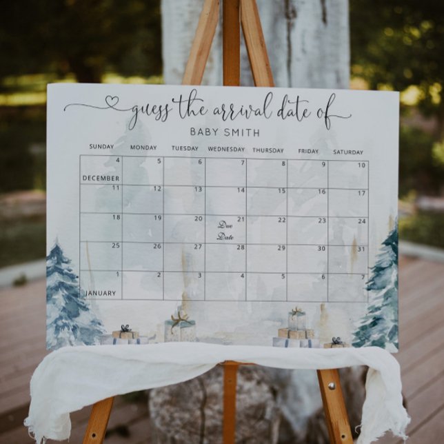 geschlechtsneutral im Winterwald: Ratet den Fällig Poster (Von Creator hochgeladen)