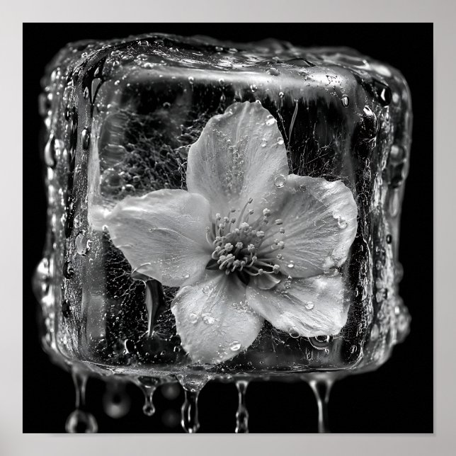 Geschlossene Blume Schmelzendes Eis Poster (Vorne)