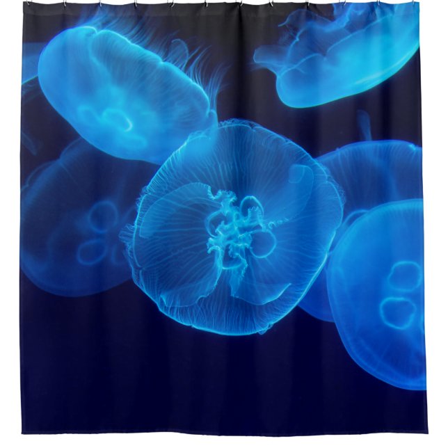 GESCHLOSSENE FOTOGRAFIE DES SCHWARMS VON JELLYFISH DUSCHVORHANG (Vorderseite)