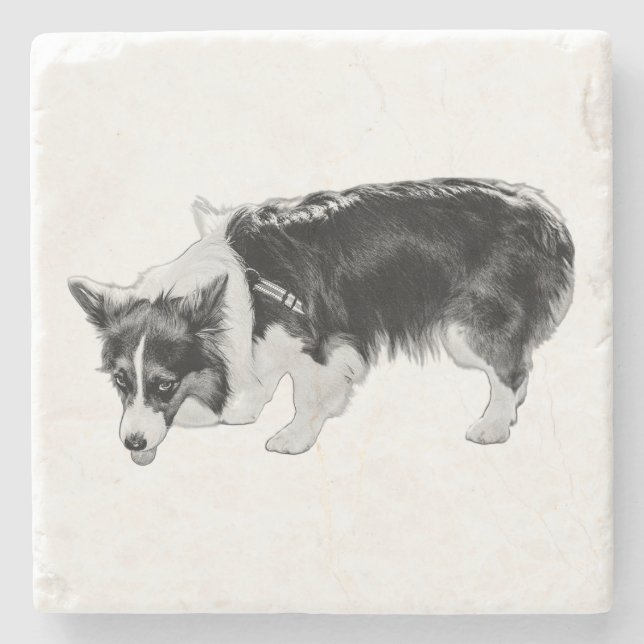 Geschmackstest Steinuntersetzer (Vorderseite)