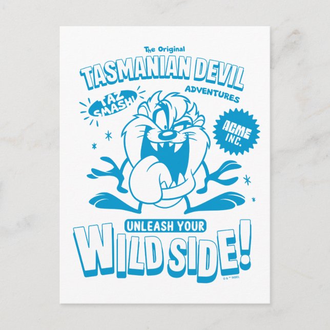 Geschmackvoll Retro TAZ™ Postkarte (Vorderseite)