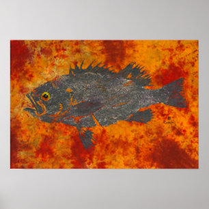 Geschmolzener Rockfish - 19" x 13" Poster
