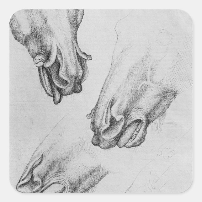 Geschnittene Nasenlöcher Quadratischer Aufkleber (Vorderseite)