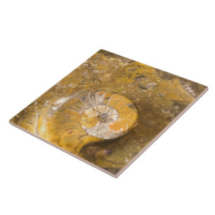 Geschnitzte Schüssel hergestellt von den Fossilie Fliese