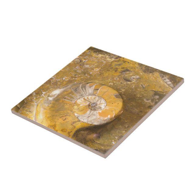 Geschnitzte Schüssel hergestellt von den Fossilien Fliese (Seite)