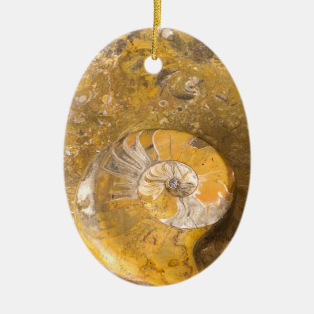 Geschnitzte Schüssel hergestellt von den Fossilien Keramik Ornament (Vorne)