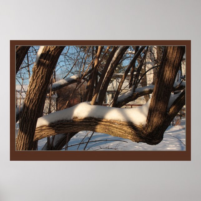 Geschüttelte Zweigstelle Poster (Vorne)