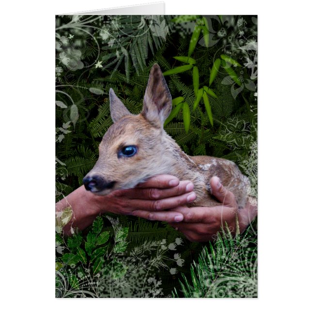 ‚Geschützt‘ (Vorne)