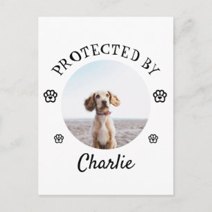 Geschützt Durch Hund Foto Pfotenabdruck Design Postkarte