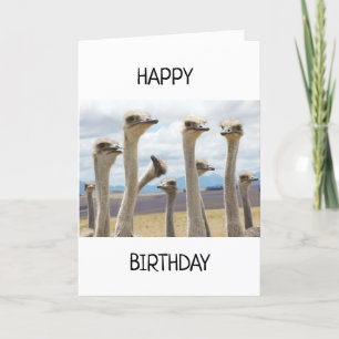 GESCHÜTZTE KÜCHE SAGEN GLÜCKLICH BIRTHDAKARTE KARTE