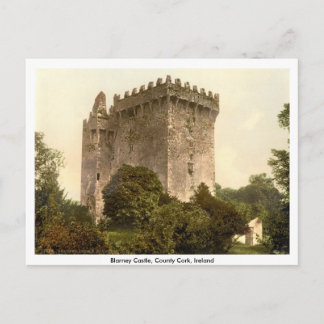 Geschwätz-Schloss, Co.-Korken, Munster, Irland Postkarte