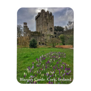Geschwätz-Schloss-Korken, Irland-Magnet Magnet