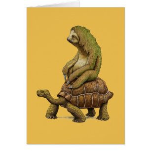 Geschwindigkeit ist relativ