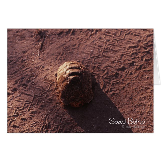 Geschwindigkeitssprung (Vorderseite (Horizontal))