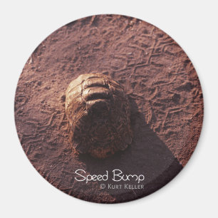 Geschwindigkeitssprung Magnet