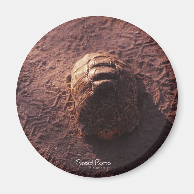 Geschwindigkeitssprung Magnet (Vorne)