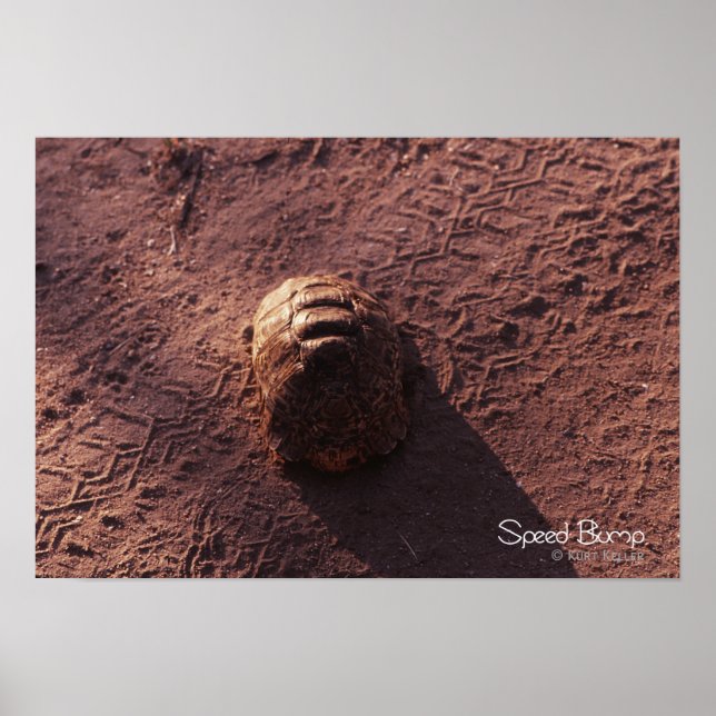 Geschwindigkeitssprung Poster (Vorne)