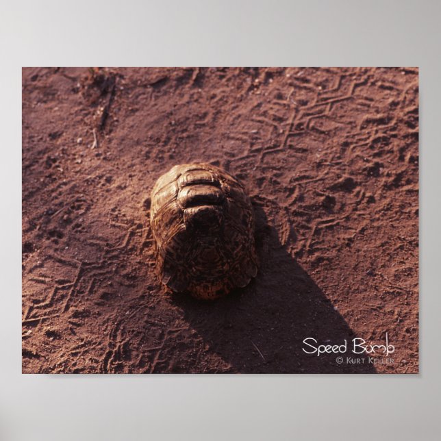 Geschwindigkeitssprung Poster (Vorne)