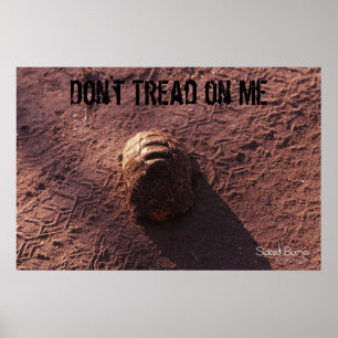 Geschwindigkeitssprung Poster