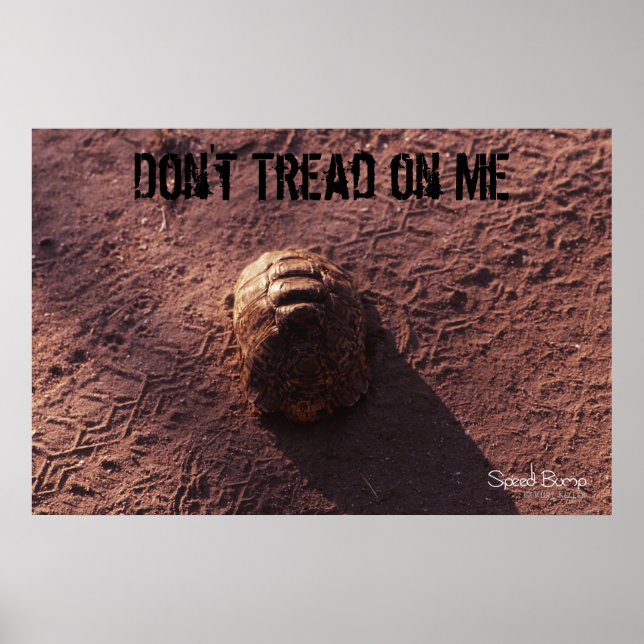 Geschwindigkeitssprung Poster (Vorne)