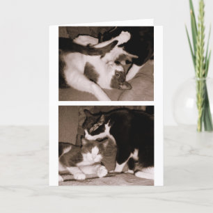 Geschwister - Brüder u. Schwestern Karte