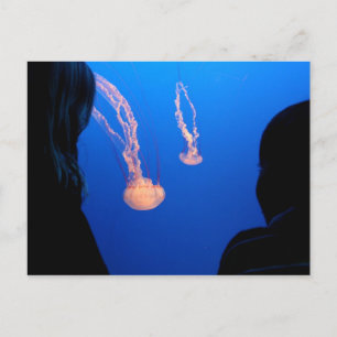 Geschwister Postkarte