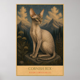 Geschwungene Eleganz: Cornish Rex Poster