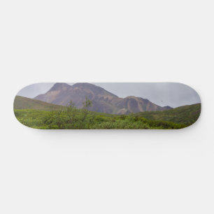 Geschwungene Schönheit In Denali Skateboard